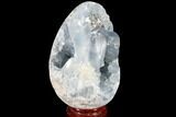 Crystal Filled Celestine (Celestite) Egg Geode - Large Crystals! #88320-1